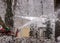 Snowplow cleans tracks in a snowy park on a cloudy winter day