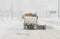 Snowplow clearing highway