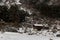 Snows caped Yumthang Valley