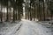 Snowscape Splendor: Sunbeams Guide Through Frosty Forest Lanes. Pokainu Mezs, Latvija