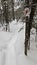 Snowshoe blaze sign nailed to tree