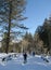 Snowshoe hiker, blue sky