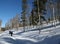 Snowshoe hiker, shadows of aspens,,