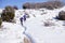 Snowshoe hikers ascend a hill