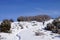 Snowshoe hikers ascend a hill