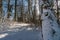 Snowshoe tour at the Gehrenberg near Lake Constance