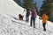 Snowshoe tourers on Katrinalm in Bad Ischl