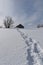 Snowshoe tracks in the snow