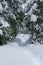 Snowshoe trail in the woods