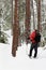 Snowshoeing - Killarney, Ontario