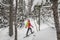 Snowshoeing people in winter forest with snow covered trees on snowy day. Woman on hike in snow hiking in snowshoes