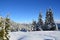 Snowshoeing trail in the fresh powder