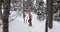 Snowshoeing woman in winter forest with snow covered trees on snowy day. People on hike in snow hiking in snowshoes