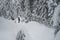 Snowshoer on Cypress Mountain