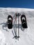 Snowshoes and Poles