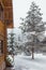 A snowstorm in the mountains sweeps up wooden house. Wooden house and Christmas trees in the snow. Carpathians. Ukraine