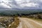 Snowstorm sky landscape over countryside and snowy trees. Dirt road to the mountain