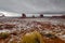 Snowstorm sweeps through Monument Valley