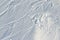 Snowy abstract off-piste skiing backround texture with ski and snowboard trails and tracks on new virgin powder snow