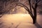 Snowy alley of city illuminated park