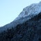 Snowy Alpine Pine Forest Cliffside