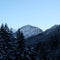 Snowy Alpine Pine Forest Valley