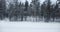 Snowy arctic forest passing by on a road trip