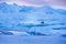 Snowy Arctic landscape with big animal. Winter landscape with animal. Walrus, Odobenus rosmarus, stick out from blue water on whit