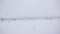 Snowy arctic taiga landscape travel