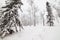 Snowy backcountry winter trail in Yukon T Canada