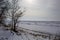 Snowy beach scene with frozen waves and branches