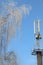 Snowy on a beautiful and sunny winter day. Mobile tower winter image. Close Up Of A Cellphone Digital Tower On Blue Sky Background