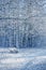 Snowy bench in the woods