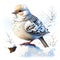 Snowy bird isolated on white background. Watercolor hand drawn illustration generative AI