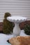 Snowy Birdbath