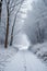 Snowy blizzard on a countrside path in a winter time