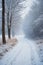 Snowy blizzard on a countrside path in a winter time