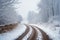 Snowy blizzard on a countrside path in a winter time