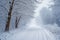 Snowy blizzard on a countrside path in a winter time