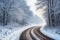 Snowy blizzard on a countrside path in a winter time