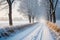 Snowy blizzard on a countrside path in a winter time