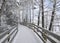 Snowy Boardwalk