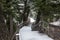 Snowy Boardwalk