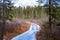 Snowy boardwalk approaches clearing in forest