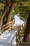 Snowy boardwalk through the trees in park