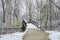 Snowy bridge in woods