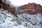 Snowy Cactus Landscape