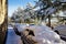 Snowy cars in Jaca