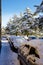 Snowy cars in Jaca