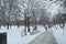 Snowy central park un Boston, USA on December 11, 2016.